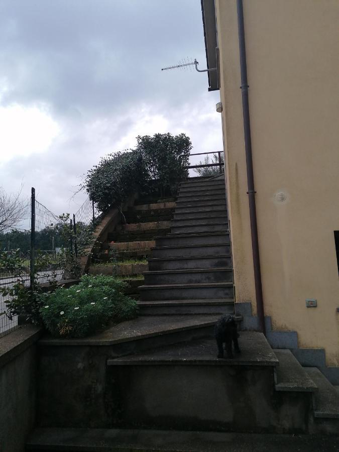 凯斯塔德诺尼住宿加早餐旅馆 奥维多 外观 照片