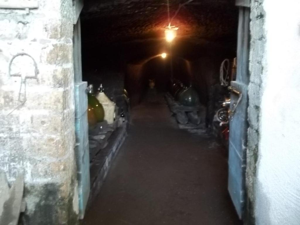 凯斯塔德诺尼住宿加早餐旅馆 奥维多 外观 照片